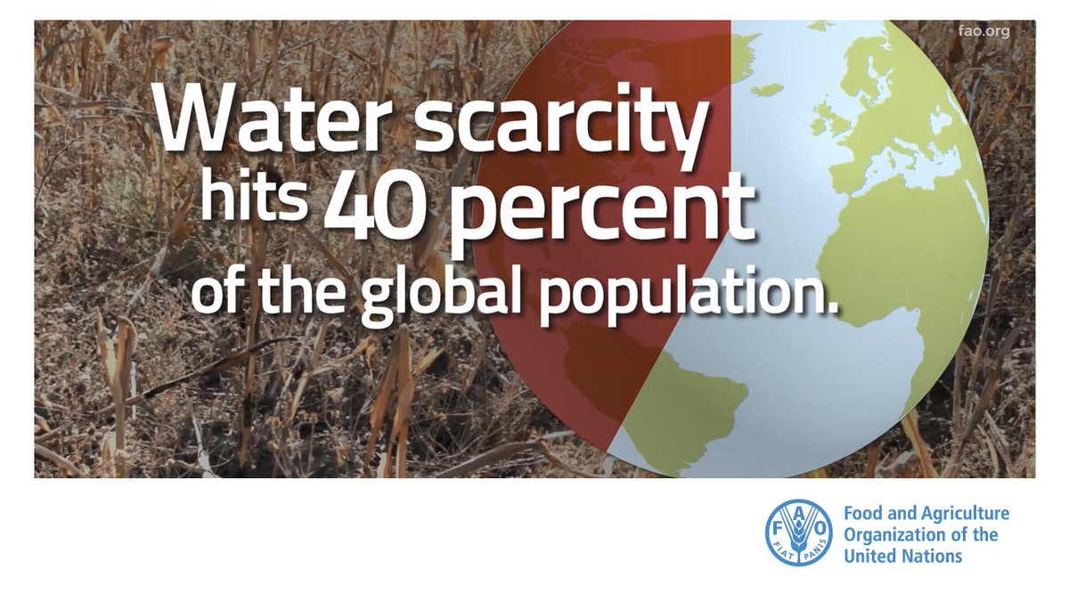 FAOLandWater's tweet photo. Water resources are impacted by climate change. The increasing water scarcity which hits 40% of the 🌍 population, significantly contributes to enhance people’s vulnerability

Improving water management through coordinated water &amp; climate policies &amp; water investment is key
#COP26 https://t.co/F1mTtQtut6