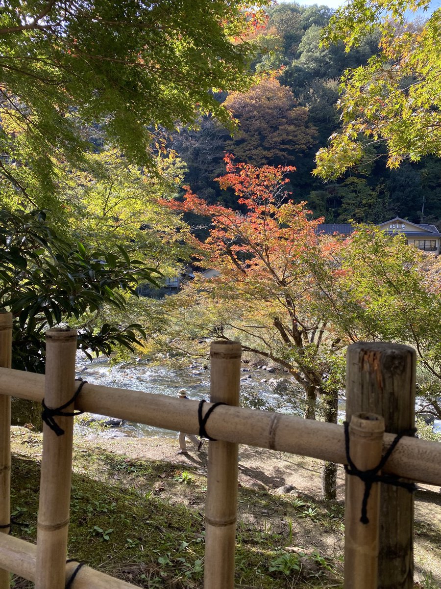 mshin7714's tweet photo. 香嵐渓🍁#紅葉 #たいやき https://t.co/H6mJDb4O0t