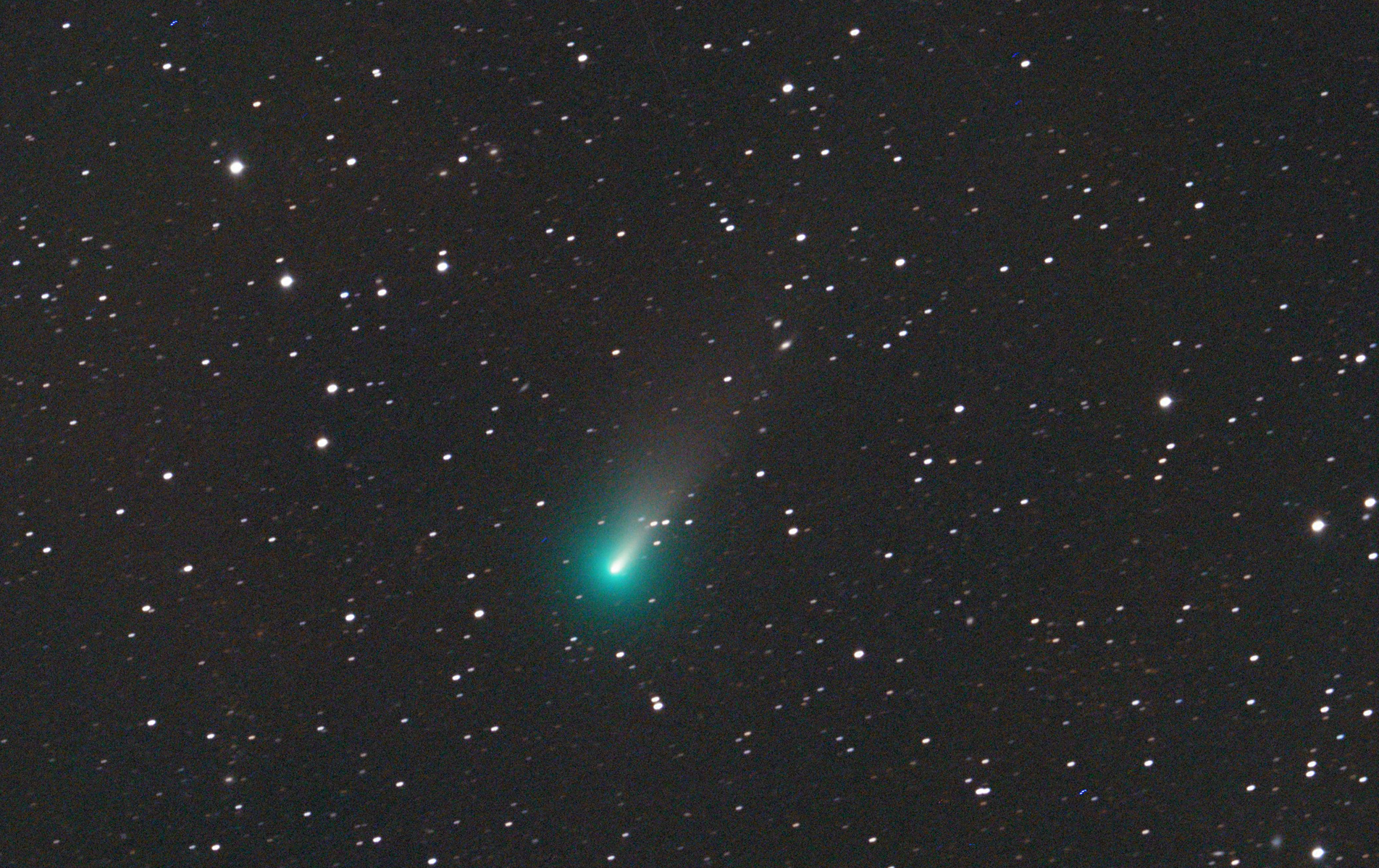 Comet C/2021 A1 Leonard