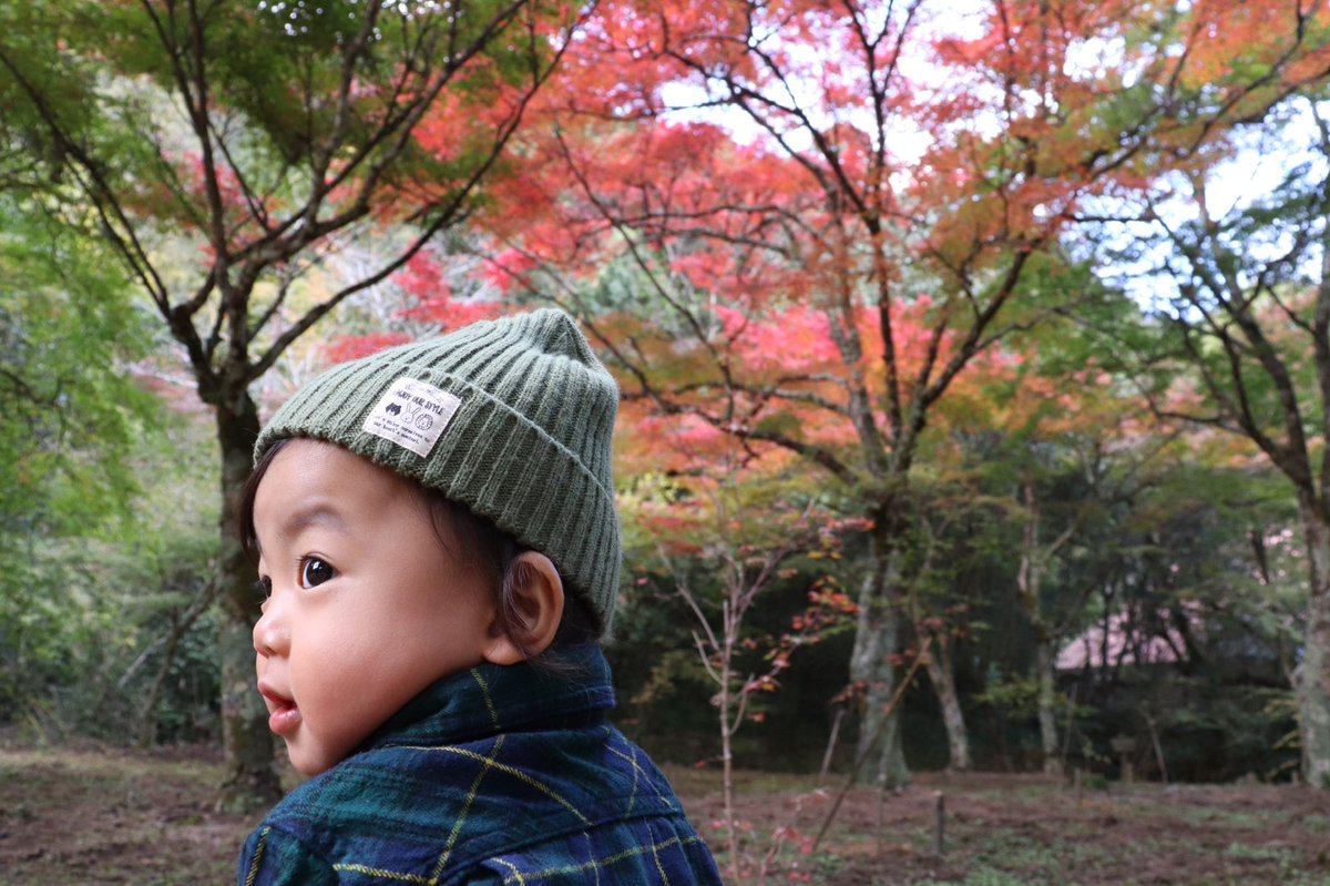 tk_rayh77's tweet photo. 充実
祝日は矢野と紅葉少し見れて
昨日は北海道物産展に行けて
夜にはかえちゃんカップルともつ鍋
今日はピアノコンサート、楽しかった
来週再来週あたり、紅葉見頃かな〜？🍁 https://t.co/JhOZZVuFlb