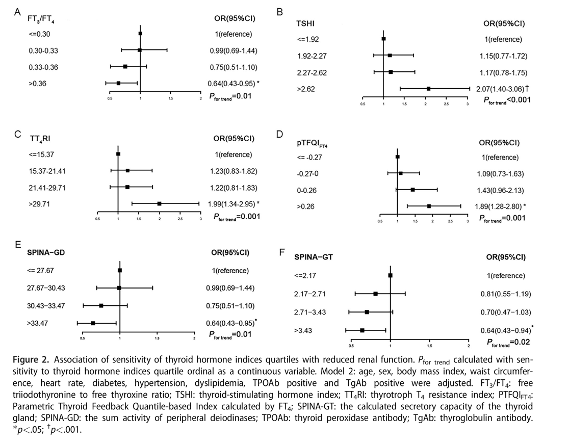 SPINATeam's tweet photo. #SPINA_GT, #SPINA_GD and the set point of #thyroid homeostasis predict impaired #kidney function and renal failure in euthyroid persons. https://t.co/W1tMp9Zu8Y https://t.co/7tb6lIrEUS https://t.co/2cT3e8Fk8v