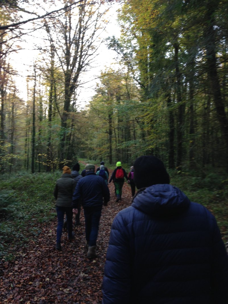 Kicking off Science Week with Teagasc Forestry Advisor Michael Somers for a forest walk and talk. Next walk on Saturday Nov. 13th. Find out more bit.ly/3vXDn3G #FestFarmFood #ScienceWeek @teagasc @VistaMilk