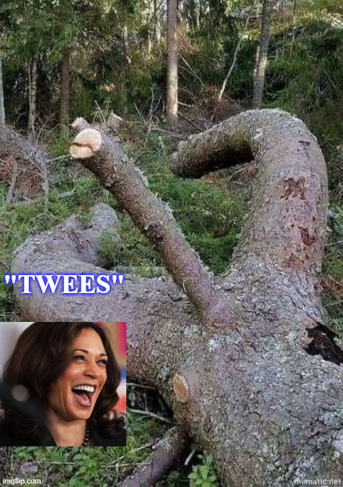 brodis409's tweet photo. @CindyKendrick11 Another one... #TWEES https://t.co/Uk2M4bbC9T