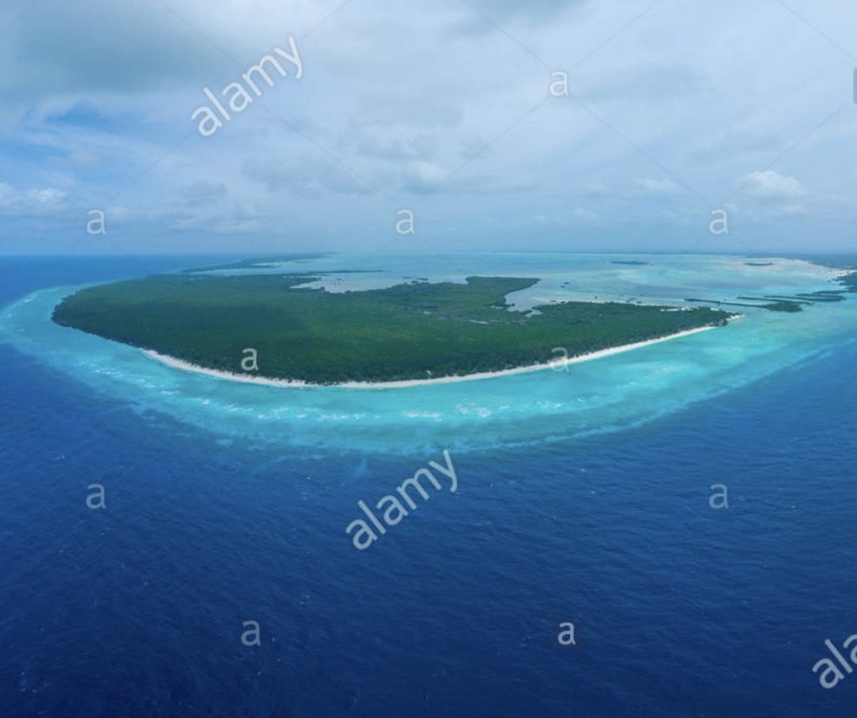 JmichelFoundatn's tweet photo. Achieving target #oceanprotect30x30 will not only help reverse adverse ecological impacts and preserve fish populations but will also help to increase resilience to climate change & sustain long-term ocean health. @pewenvironment @DonaBertarelli @JmichelFoundatn @WanjohiK #PBOL https://t.co/JjQlUeLgO4
