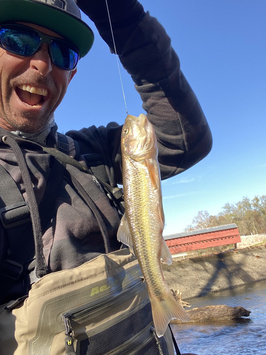 mike_Iaconelli's tweet photo. You didnโt think I was going to visit Gettysburg without fishing did you? #chub #shellcracker #coveredbridge https://t.co/TsfBI0rQIP