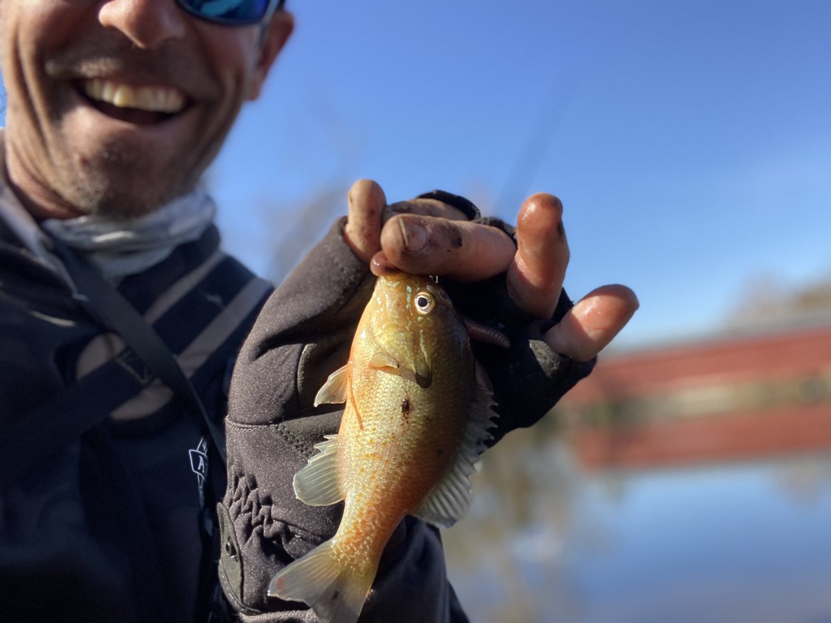 mike_Iaconelli's tweet photo. You didnโt think I was going to visit Gettysburg without fishing did you? #chub #shellcracker #coveredbridge https://t.co/TsfBI0rQIP