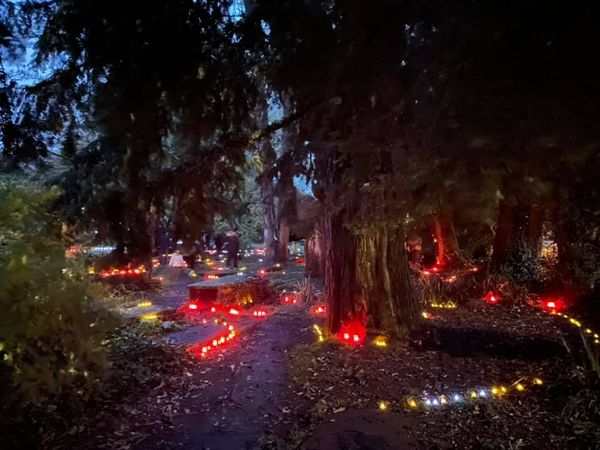 cccliftonuk's tweet photo. A wonderful evening last night in the old graveyard by Birdcage Walk lighting candles in memory of those we have lost. Hundreds of local people came in to look around and remember. #lighthenight https://t.co/KnMDh6XBdB