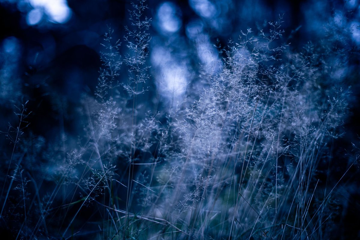 Regis CHUPIN (@chupinregis) on Twitter photo 