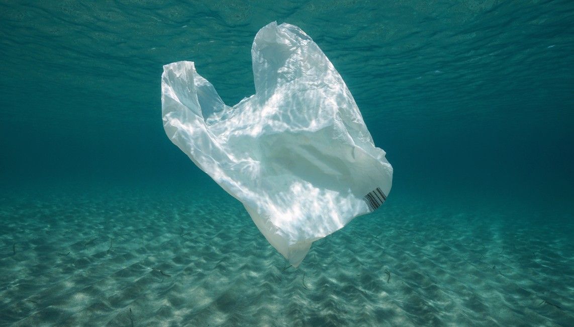 bcollective_llc's tweet photo. 🏖️ $BEACH  🏖️
Less than 1 in 7 plastic bags are recycled
It can take anything between 20-1000 years for a plastic bag to break up
Join $BEACH today &amp; do good with every transaction
#ClimateAction #CleanOceans #BeachCollective #BlueCarbon #COP26 
https://t.co/PJ8wy0G2Oi https://t.co/MZh0SPNhTa