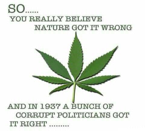 komprimat's tweet photo. #Reggaevolution 
#Legalisierung2022
#WirWollenCannabis 
#VernunftWirdSiegen
#MehrheitfürLegalisierung 
#Entkriminalisierungindenersten100Tagen
#CannabisFreigabe
#LegalisierungJETZT
 
Wir sind überfällig
Reif
aber für keine Anstalten
Es reicht
Prohibition is was für die ganz Alten https://t.co/ivAhSYXIAB