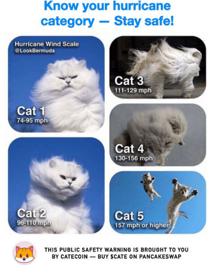 catecoin's tweet photo. If this crazy period of growth and product releases was Catecoin’s ‘CALM BEFORE THE STORM’… 💨🌊⚡️

What will the Storm look like?🌪
Get ready to find out!!!!

Major announcements
multiplied by
Top 10 most mentioned crypto coin on Twitter😍🐾🚀

#catecoin #nft #defi #P2E https://t.co/G3bBqH39pA