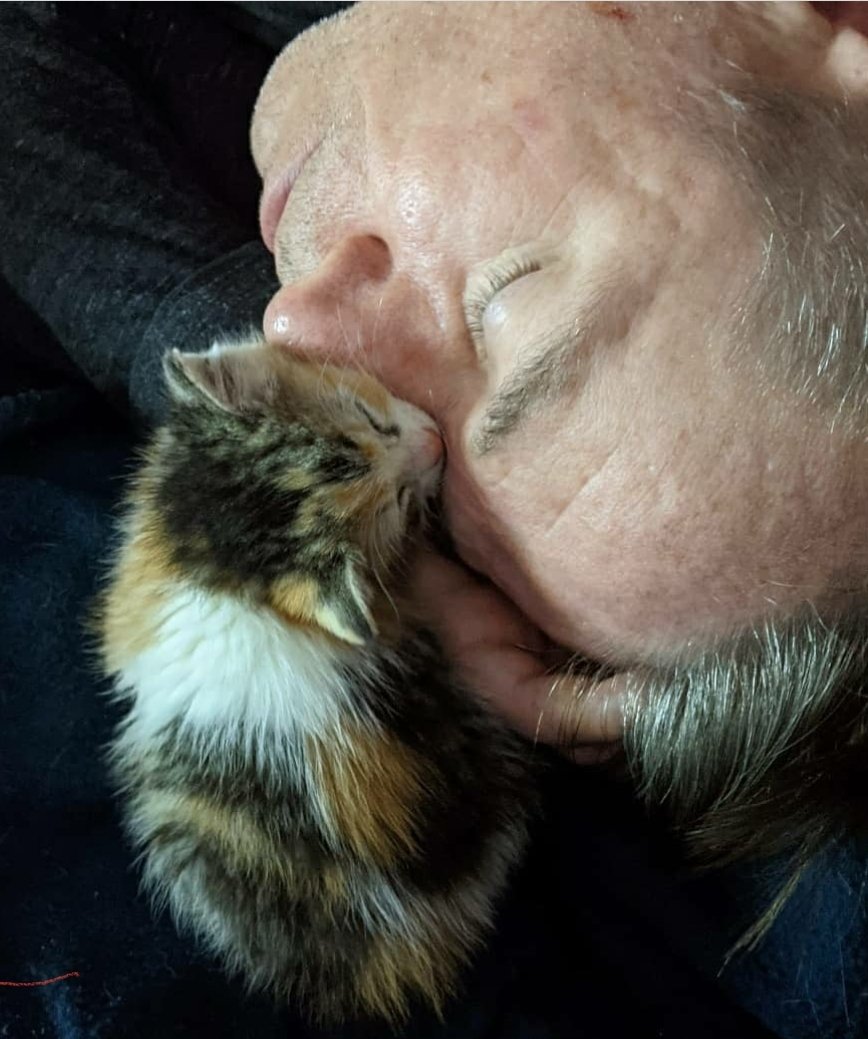 Deeptec's tweet image. Happy Birthday to little Gwen Stacy - I can't believe you're a year old already!