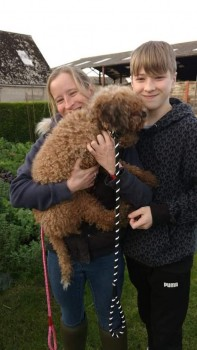 millypod1's tweet photo. MALTEASER HOME SAFE. THANKS FOR RT's
REUNITED PIC ADDEDπππΎ
31 OCT 2021 #Lost #ScanMe #STOLEN??
YOUNG Brown Curly Cockerpoo Female
#Lechlade / #Buscot #GL7 #Cotswolds #Gloucestershire
Escaped from garden whilst visiting friends
SIGHTINGS PLZ*
https://t.co/NYikFGqXap https://t.co/9Lr8lfybBY