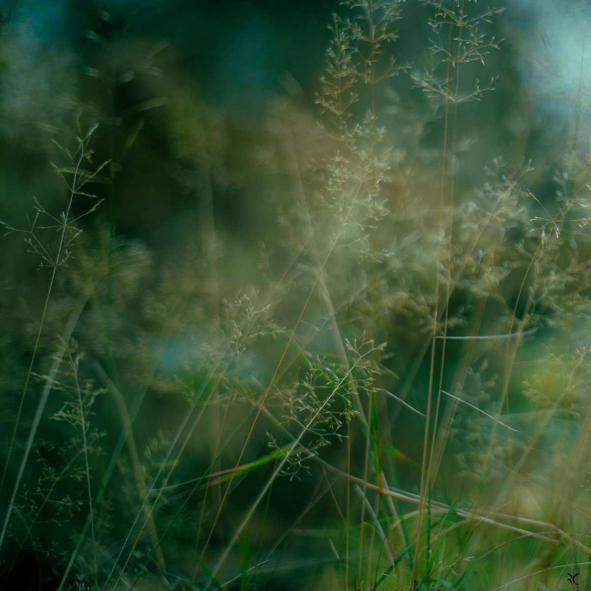 Regis CHUPIN (@chupinregis) on Twitter photo 