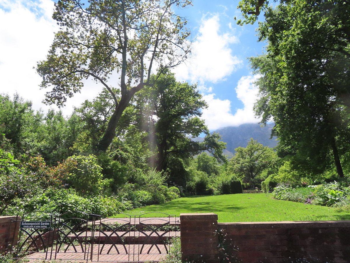 PropertyShowDay's tweet photo. Pathways in life: A meeting between divine energy & the human mind! #labyrinth #sacred #diversity #cultures #humankind #ChartresLabyrinth #Rustenberg #SchoongezichtGardens #Nature, #TravelBugSA #MeetOurSouthAfrica #VirtualTravelBugSA #pathways https://t.co/zmAlZg3K7t https://t.co/pLesieFeUq