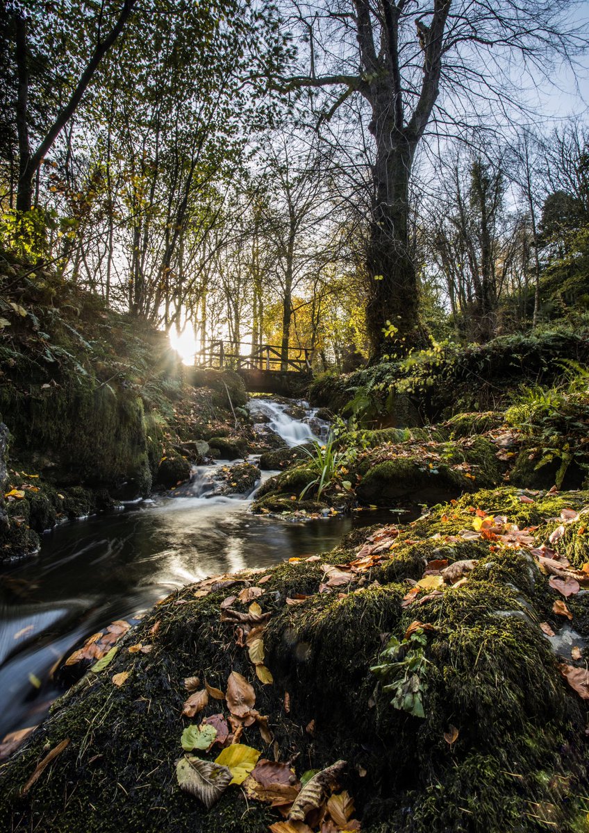 mcdougallmartin's tweet photo. Great family walk @finlaystonepark #sundaywalk #forrestbathing https://t.co/ZCs0Hd2Qnv
