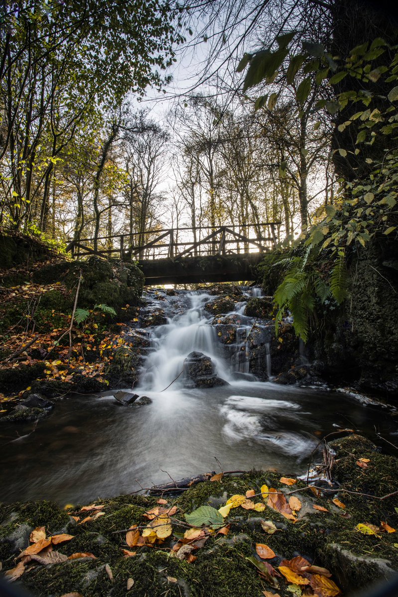 mcdougallmartin's tweet photo. Great family walk @finlaystonepark #sundaywalk #forrestbathing https://t.co/ZCs0Hd2Qnv