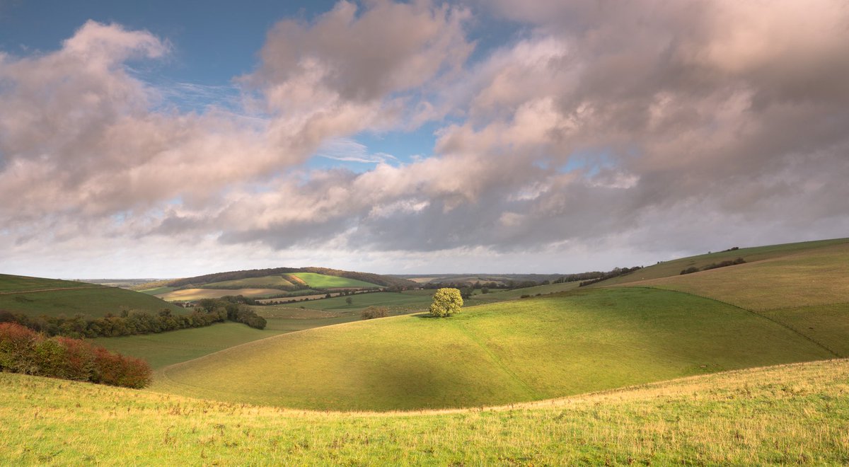 Sun after the rain #southdowns