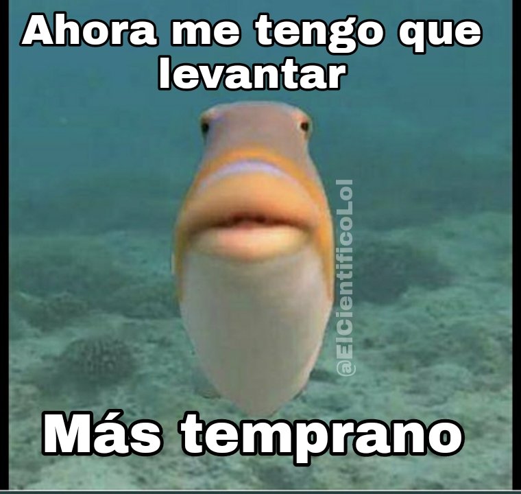 ElCientificoLol tweet picture