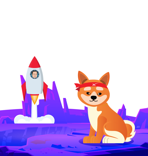 Shibu Life tweet media