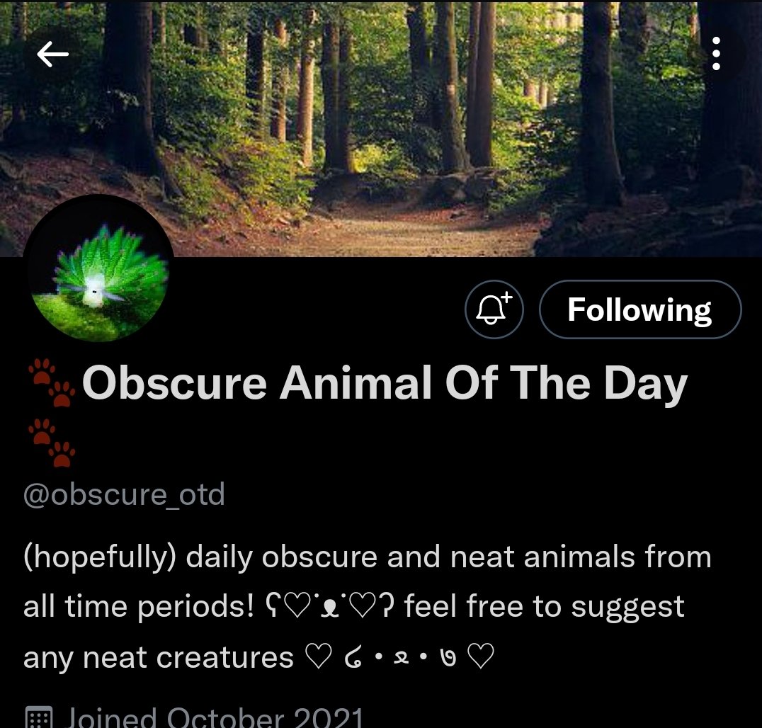 our final OTD of the day is <a href="/obscure_otd/">🐾Obscure Animal Of The Day🐾</a> because nature and stuff