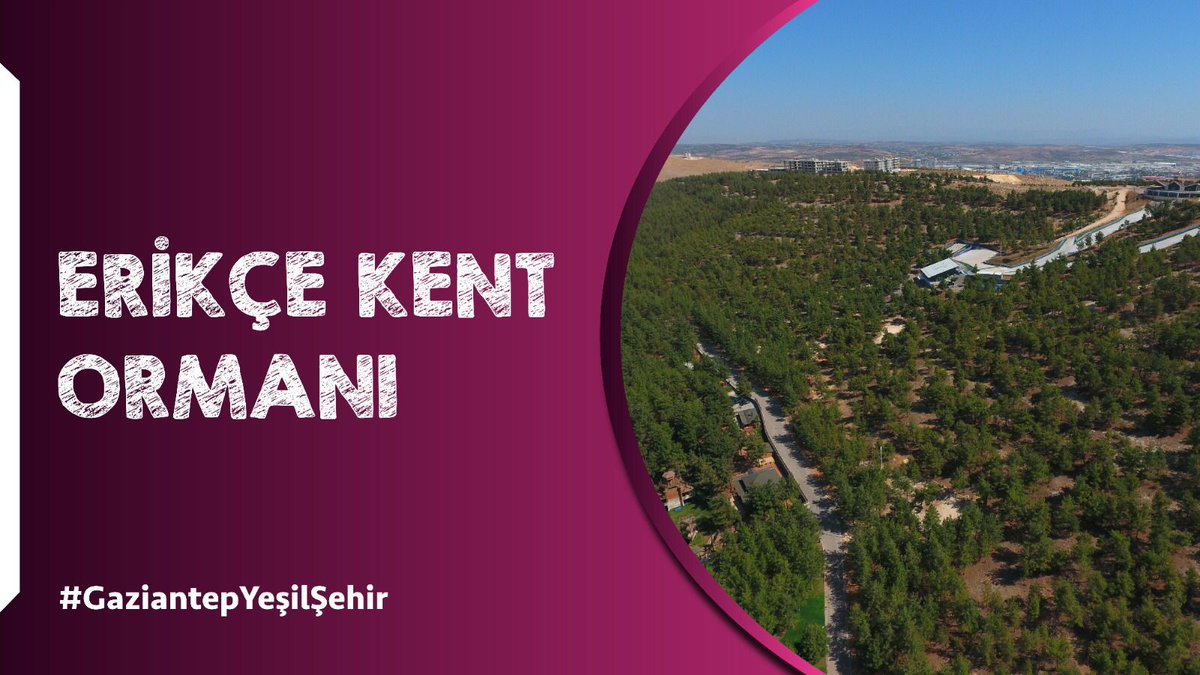 #GaziantepYeşilŞehir
<a href="/FatmaSahin/">Fatma Şahin</a>