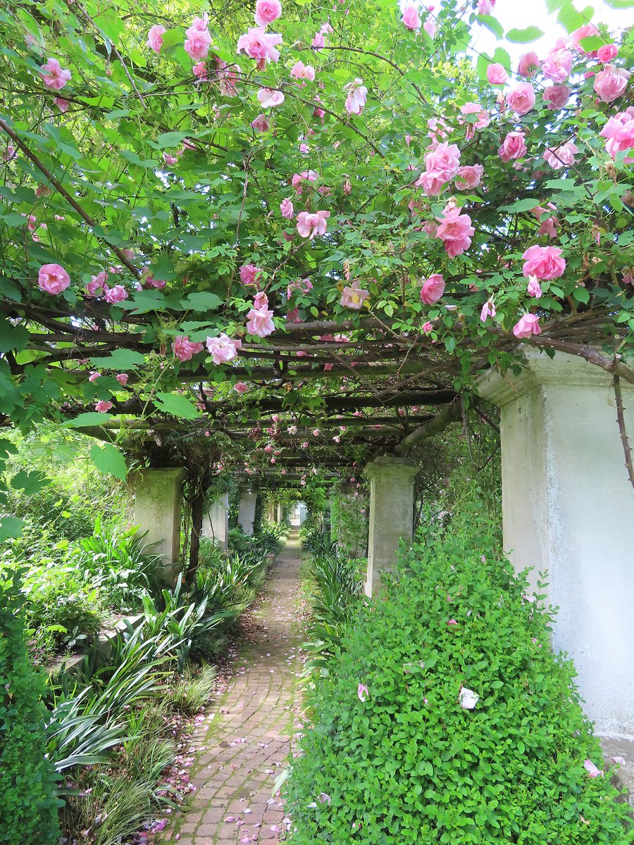 ShopperSAfrica's tweet photo. Pathways in life β the eleven most important virtues: Reverence, truthfulness, wisdom, compassion, dedication, faithfulness, selflessness, non-judgment, gratitude, hopefulness & love! #labyrinth #ChartresLabyrinth #Rustenberg #SchoongezichtGardens https://t.co/DHwJm5iGNn https://t.co/yWCMK7THef