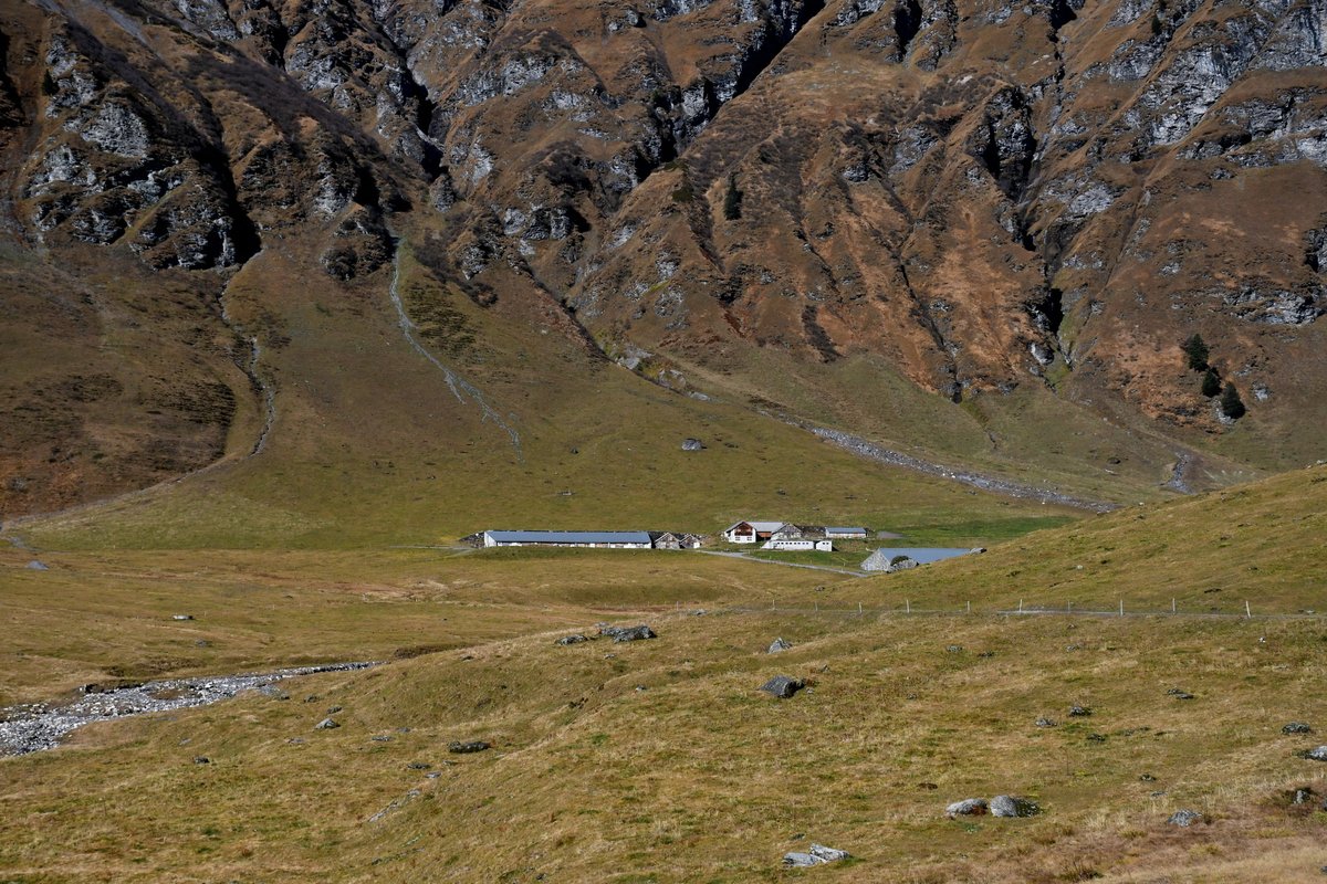 gurgeh's tweet photo. Last hike of the season above 2'000m, crossing the Risetenpass on empty hiking paths

Weisstannen SG to Matt GL, Oct'21 https://t.co/QMm7JF7uVD