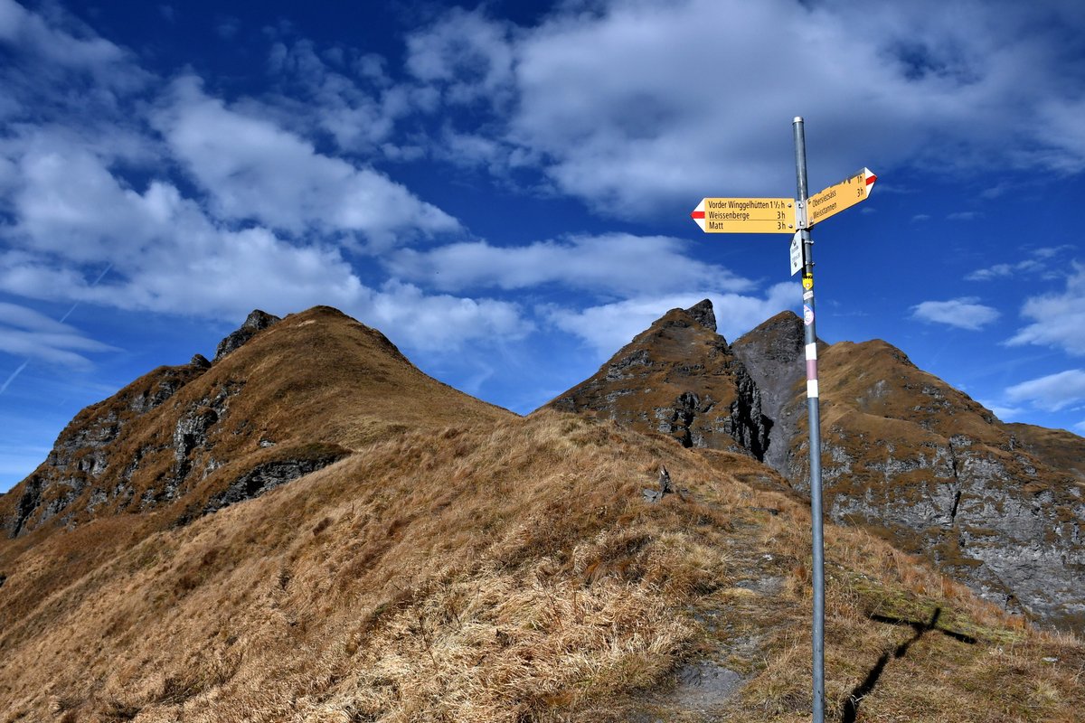gurgeh's tweet photo. Last hike of the season above 2'000m, crossing the Risetenpass on empty hiking paths

Weisstannen SG to Matt GL, Oct'21 https://t.co/QMm7JF7uVD