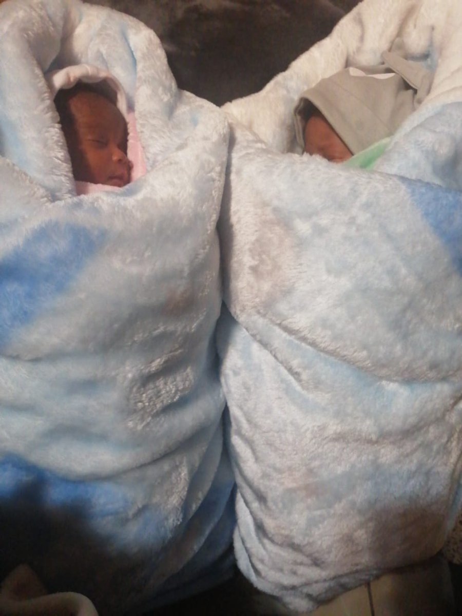mnoneleli_Gx's tweet photo. I named them Zinathi(Boy) and Ziyana(Girl) https://t.co/2SBisSXbUl