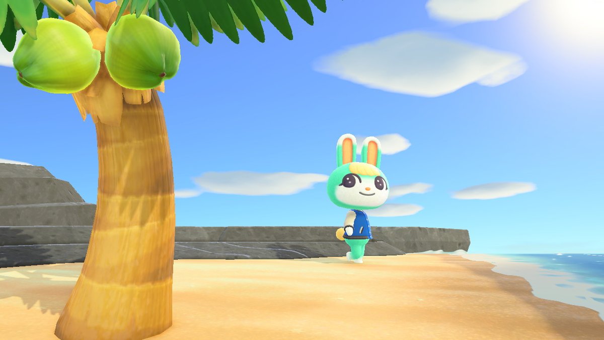 TheRainbowACNH's tweet photo. | A la recherche de Shino &amp; Terra |

Chasse commencée dans la mi-journée, j'ai vu défiler un à un les nouveaux arrivants sur le jeu... 
Je me disais mais c'est pas possible, le jeu me troll ! 😂 Bon aller, Shino ou Terra finiront bien par arriver... https://t.co/7DeD27YjeD