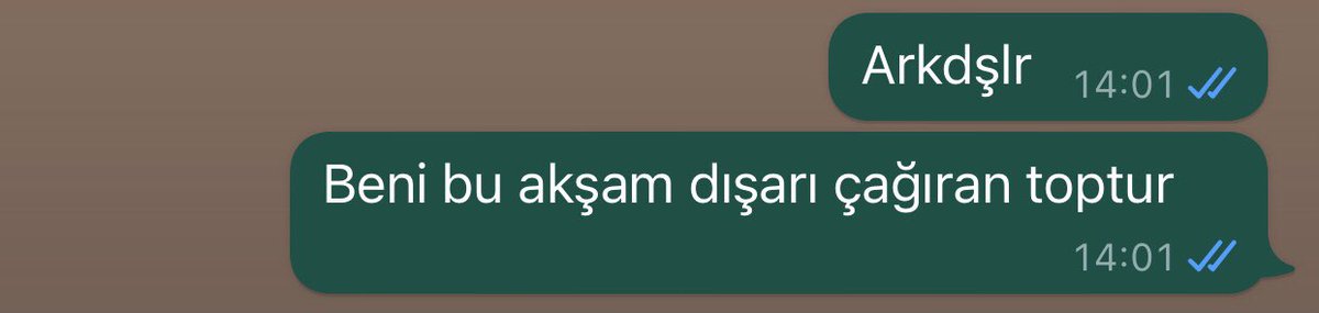 Benim savunma sistemi de bu