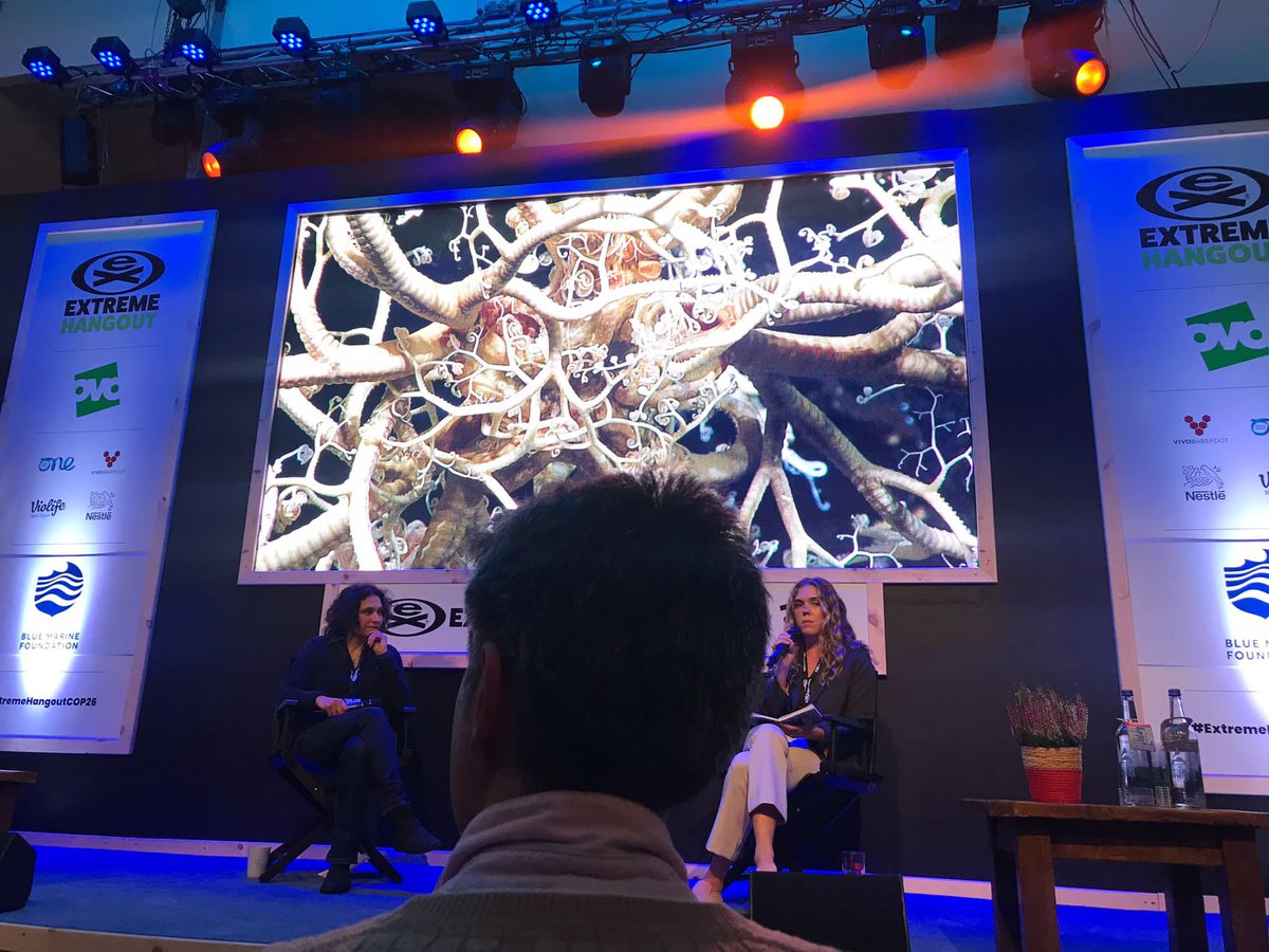 billant_j's tweet image. If we let it happen, deep sea mining will have a significant detrimental impact on biodiversity, livelihood of vulnerable populations and the capacity of oceans to store carbon. We need to stop another race to the bottom #KeepItInTheDeep #COP26