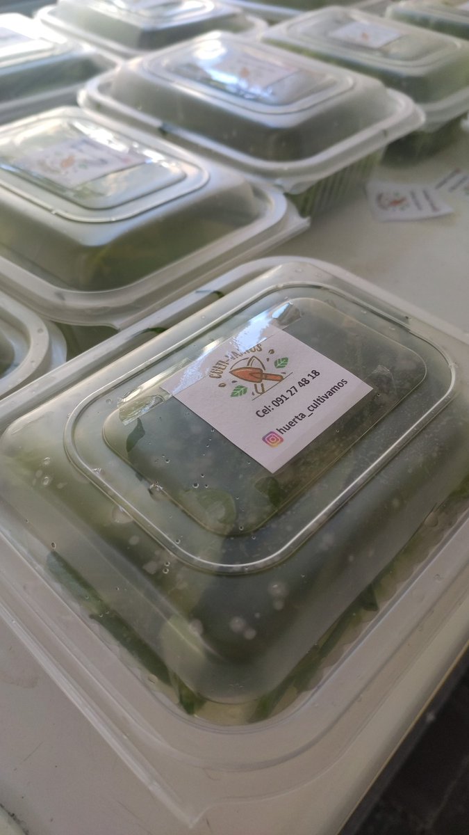 Aplausos para estos jóvenes: hace un año en plena pandemia pensábamos en como levantar el invernáculo, HOY participando, socializando y vendiendo sus cosechas en la 5ta feria Verde y Sustentable.