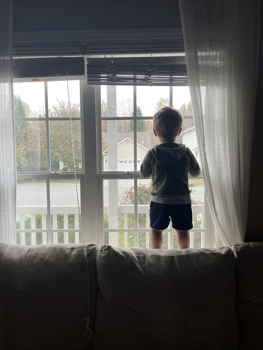 karstyn_orrell's tweet photo. My child is a dog I think? Every morning he stands in the windowsill for 15-30 minutes just watching the outside world, sometimes barking at passing dogs. https://t.co/kcxPoJgnhd
