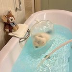 ジロー⭐︎沖縄のツイート画像