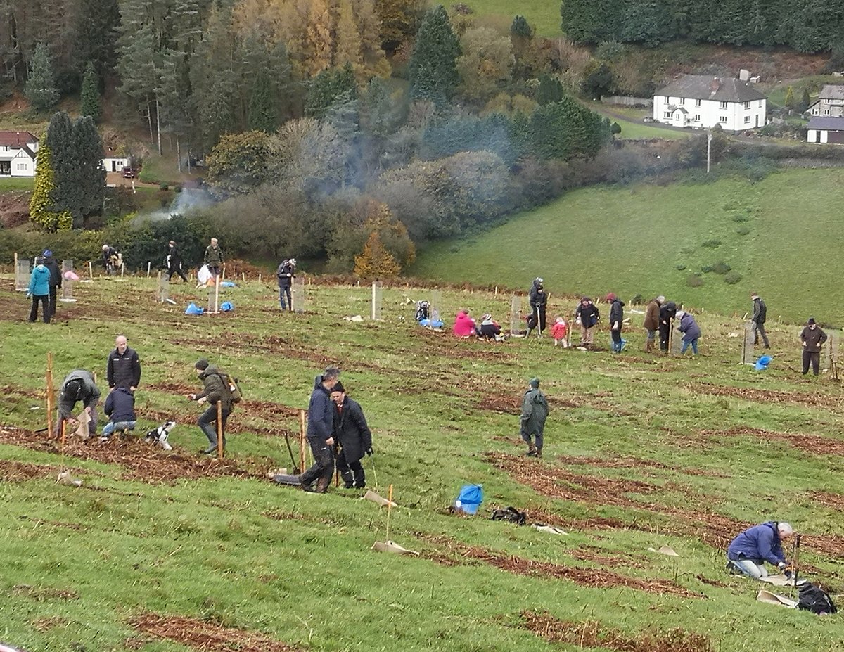 Exmoor Pony Project & Dawn Westcott tweet media