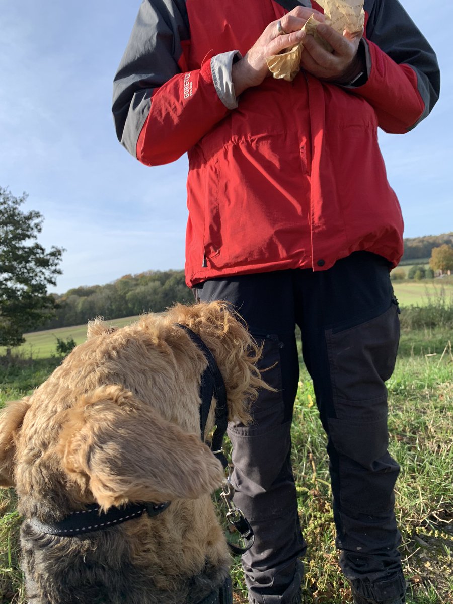 BletchleyBark's tweet photo. Itβs that #BreakfastBap moment @BuckmoorendFarm https://t.co/vYzgjOPUCG