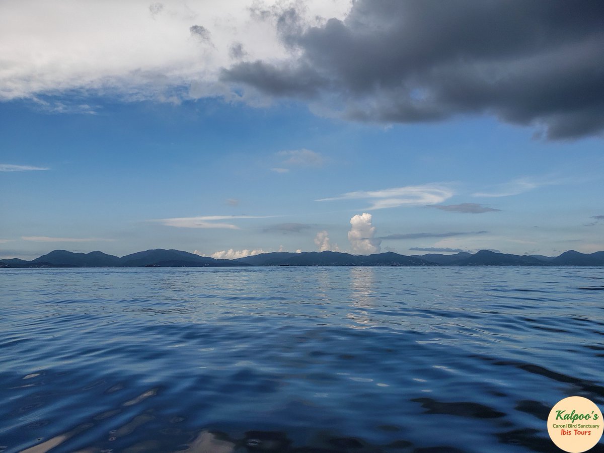 Kalpoos_Ltd's tweet photo. There's nothing more peaceful than a #SeaViewSunday .🌅
The sea, once it casts its spell, holds one in its net of wonder forever.🤩
Happy Sunday everyone🌞from Kalpoo's Bird Sanctuary Ibis Tours.🙏
#seaview #sunday #peace #calm #clouds #ocean #magnificentview #kalpoos #tours https://t.co/0xYIel2BAC