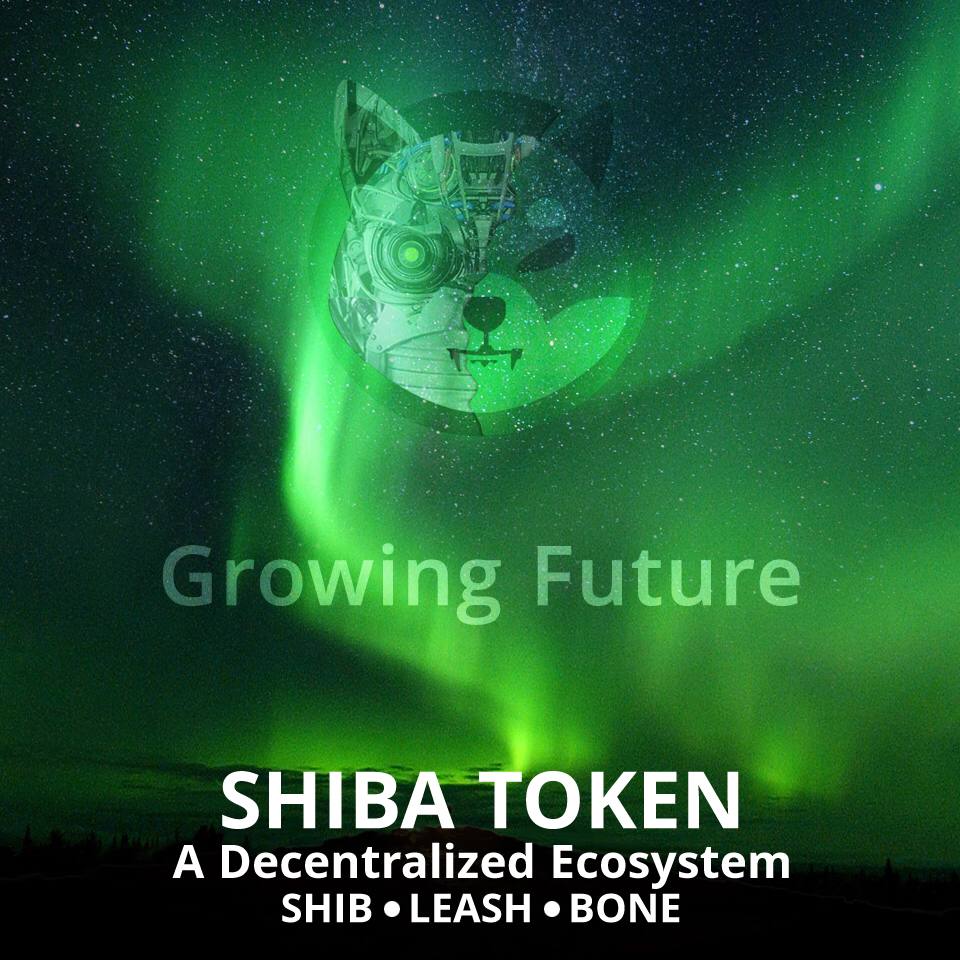 ShibaFuture's tweet photo. We grow up with our community, not Robinhood or Kraken. We have to move on. #ShibaArmy #SHiBHODL #ShibaFuture 𝐖𝐨𝐨𝐟, 𝐰𝐨𝐨𝐟! 🚀 https://t.co/ReH3dTbpUs