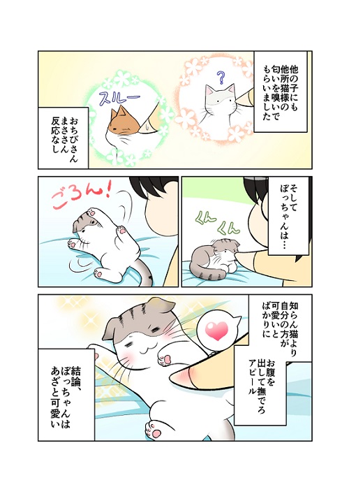 知人宅で猫を愛でて帰宅したら……? 愛猫たちに厳しい浮気チェックをされる飼い主の漫画がほほえましい https://t.co/CrUj0Xi0Oa @itm_nlabより