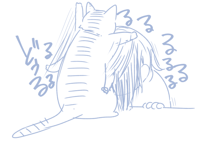 21時をすぎると猫が私を寝かしつけるためにヘッドホンを実力行使で外しに来る 
