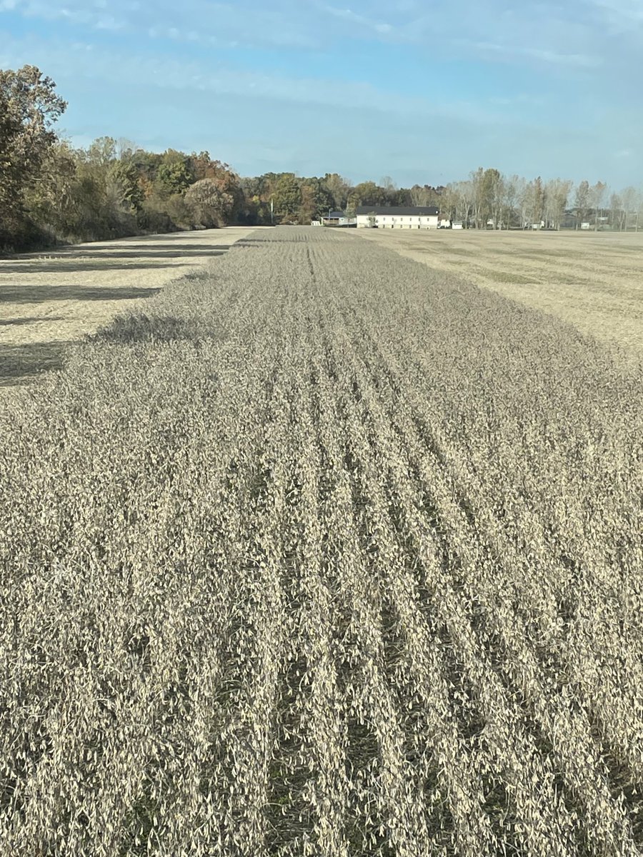 Finished both crops on consecutive days !!  2021’ was challenging !! Grateful to be done! 🙏🏻