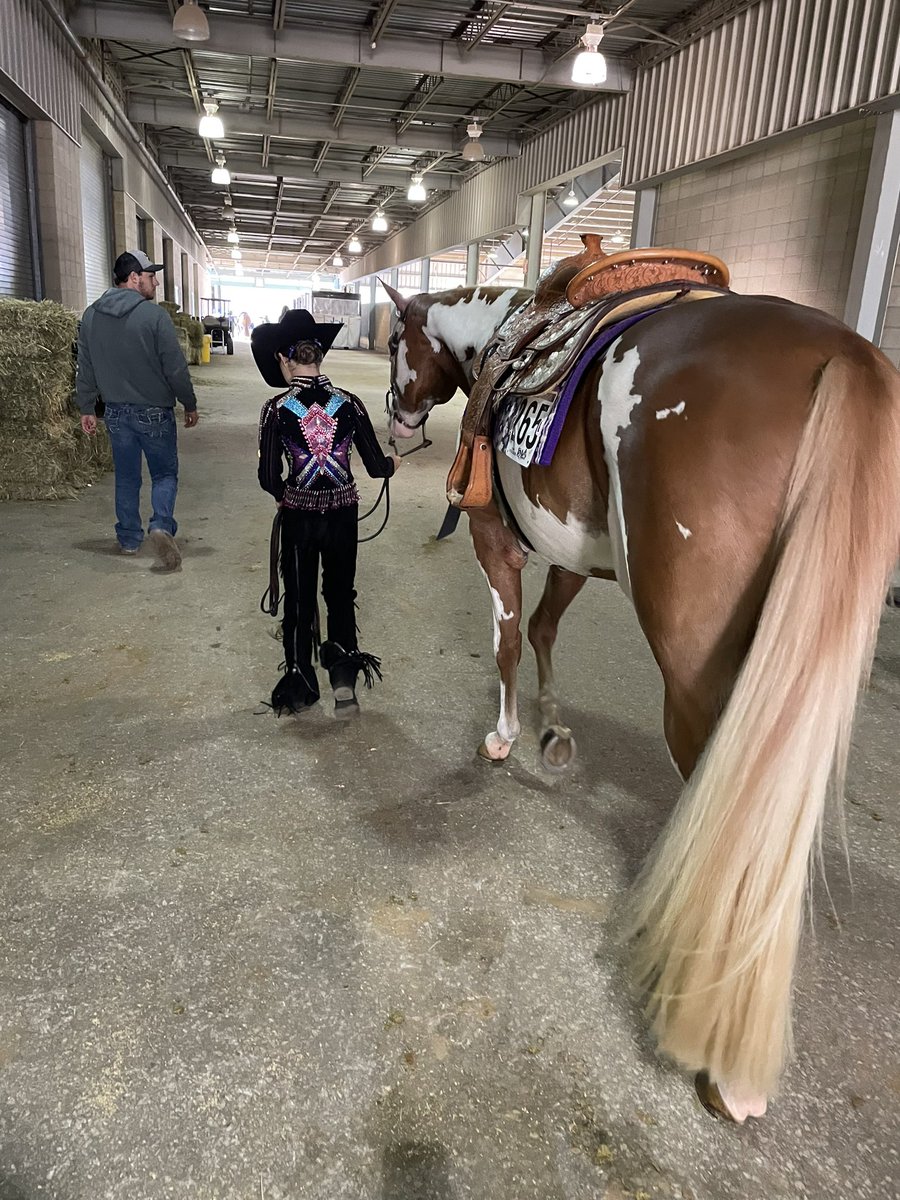 rew_erin's tweet photo. Color Breed Congress 2021.
#colorbreedcongress #pinto #cbc #westernpleasure #saddleup #girlpower #bravegirl #proudmom https://t.co/EtF4hk7jxZ