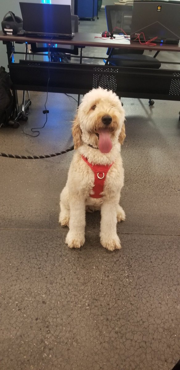 NickRosaci's tweet photo. Our mascot for #armedforcesjam. https://t.co/53mgYAArA1