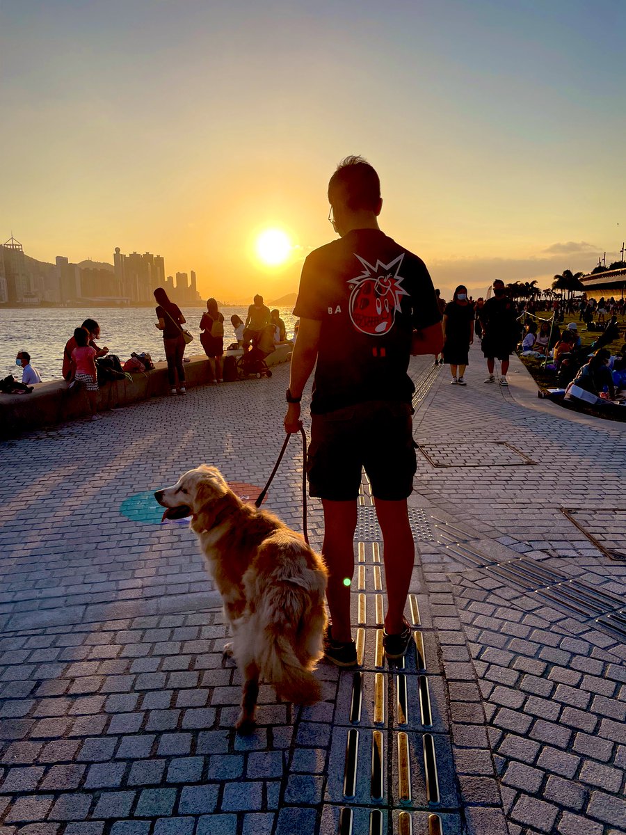 Bored Sherlock❤️ $WELL tweet media