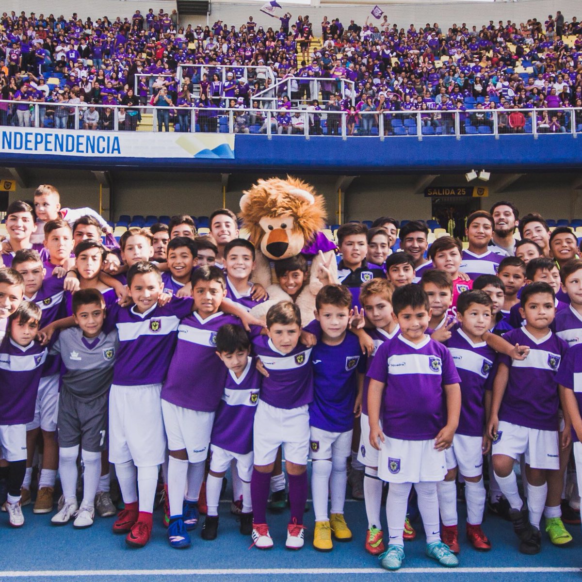 DespliegueFutCL's tweet photo. Deportes Concepción desde que fue desafiliado:

🦁 Administrado por sus hinchas
🚀 Ascenso 3° B
🏆 3° A
✈️ Regreso al fútbol profesional
🏟 27.000 espectadores en la final del fútbol amateur
👥 2227 socios
⚽🏈⚾🚴🤸‍♂️⛹️‍♂️ Creación de distintas ramas deportivas

IDENTIDAD 🟣🦁. https://t.co/NiJeX4VcOl