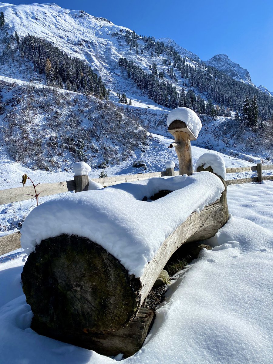 StantonReview's tweet photo. 🤩 It's like living in paradise 😍
📍 Verwall in #stantonamarlberg 
📷 M. Mussak
#arlberg #inTirol #austria #winterlove #winterliebe #snowconditions #bestofthealps https://t.co/fRG63qrFsf