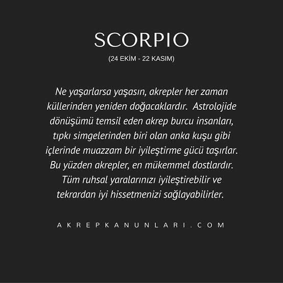 KURT_Olueh's tweet photo. #IamScorpio
๐๐ https://t.co/qDRy2YdJy3