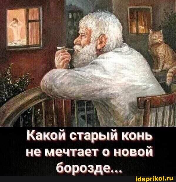 mona23415111's tweet photo. 😂😂😂яб��дувал сидит, мечтает😜😜 https://t.co/QpuSAMN5a4